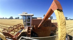 Grain traders warn of 'substantial' biosecurity levy collection costs