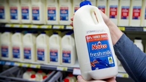 Milk brands swap shelves in Sydney but Woolworths says it's got Norco's back