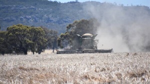 Weather concerns see wheat values soar
