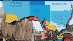 Southern fodder, feed grain demand to escalate