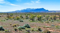 Two farms near Flinders Ranges offer a second chance to buyers
