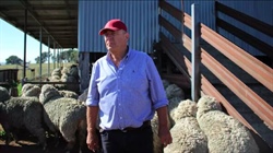 Woolgrowers paying board directors more than any other commodity