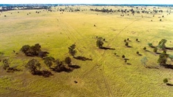 High quality Maranoa cattle country for 350 backgrounders