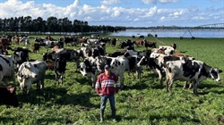 NSW government caught on back foot for unfolding South Coast dairy disaster