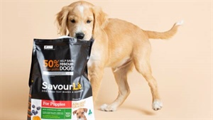 SunRice buys another dog food brand for its CopRice stable