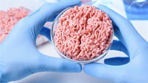 World's first butcher offers lab-grown meat; how long before it's at yours?