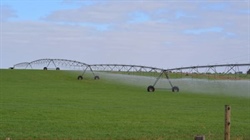 Web-based tool helps farmers make better irrigation investment choices