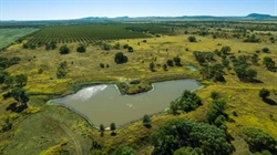 Very well developed cattle property with leucaena makes $3061/acre