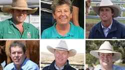 Breed societies: almost 90pc of beef cattle associations led by men