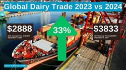 Dairy markets show good signs as northern hemisphere production tightens