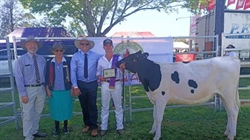 Qld's Dairy Young Paraders and Young Judges winners announced