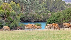 Another big farm price in that rich coastal pocket of South Gippsland