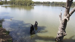 Government has opened two new voluntary tenders in the Murray-Darling Basin