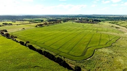 Creswick district farm with wheat crop achieves a solid price