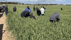 Croppers ponder hay or harvest during ag bureau tour