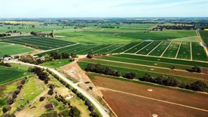 Dairy farm converted to a sheep powerhouse now on the market