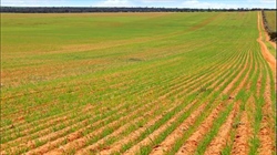 Sizeable farm near the Vic border has a $518/acre price tag