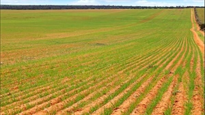 Sizeable farm near the Vic border has a $518/acre price tag