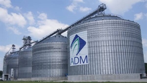 Fallout from ADM accounting scandal continues as share price falls by 6pc