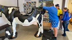 Tocal's new calving simulator