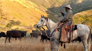 US ranchers urged to reset with climate change in mind as they rebuild