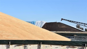 GrainCorp worker dispute resolved, removes harvest silo strike threat