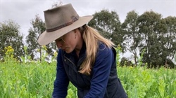 Field day to provide answers as interest in multispecies pastures booms