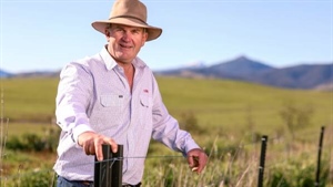 Coles on what beef consumers are chasing now and what they will pay for