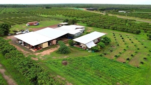 Award-winning Harvest Hill Orchard presented walk in, walk out | Video