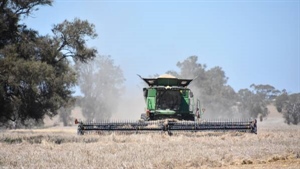 Lingering humidity, risk of further rain raises grain quality red alert