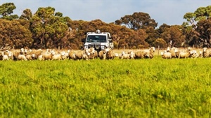 Lucindale's premier grazing property Fairview has changed hands