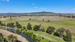 Grassed-up grazing property Yellow Dam makes solid $2.2 million at auction