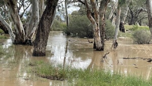 Changes to BOM forecasting tools will mean an end to ENSO dial updates