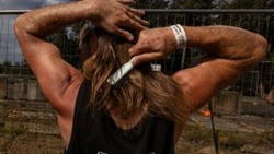 Party in the back: Australia's best mullets on show