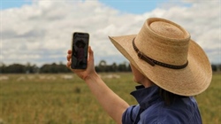 Farmers say 3G shutdown has sent them 'back in time'