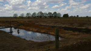 Use your dairy effluent now on silage regrowth