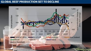 World's big beef producers will have less to sell in 2025 but not Australia