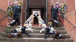 Inmates train, support dogs for Aussie veterans for Defence Community Dogs