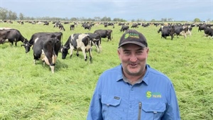 Passion for pasture drives Dairy Australia's newest director James Neal