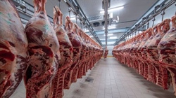 Lucrative beef export market set to reopen; rendered product to Indonesia