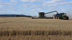 Harvest hailed as a success as winter crop deliveries near completion