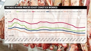 Mad rush on offal orders but hopes dashed of any hide price turnaround