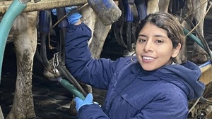 SA trial examines how scent can impact cow happiness and production