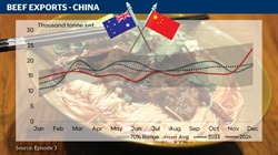 China and US to fight it out for Aussie beef in 2025; Red hot December exports