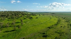 Taronga delivers superb combination of cropping and grazing country | Video