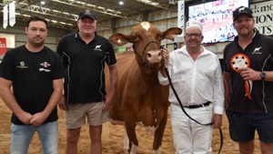 Red and White Holstein makes history at IDW as Instyle wins back-to-back