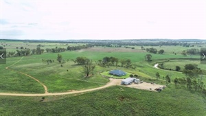 Halliday's versatile cattle property Ardath driven by productivity | Video