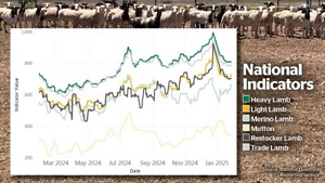 Lamb market, restocker demand steadyas world eyes US-China tariff tangle