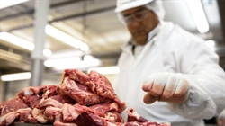 Processors make cameras in abattoirs mandatory to validate animal welfare