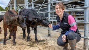 Dairy tech experts to feature at inaugural Koroit Agricultural Field Day